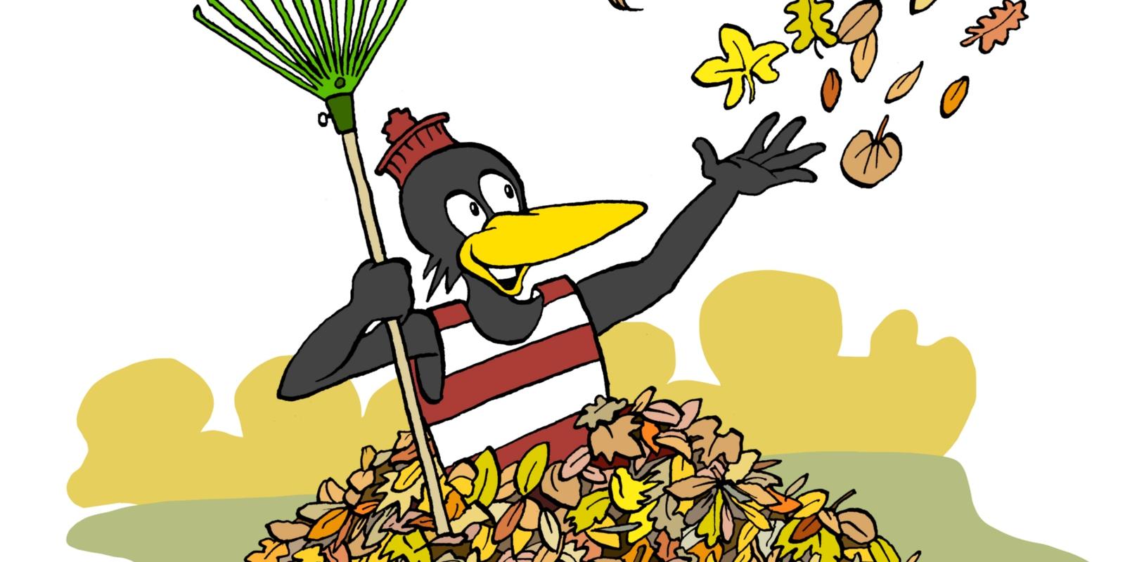 Fridolin_2024_Herbstlaub_4c_ohne