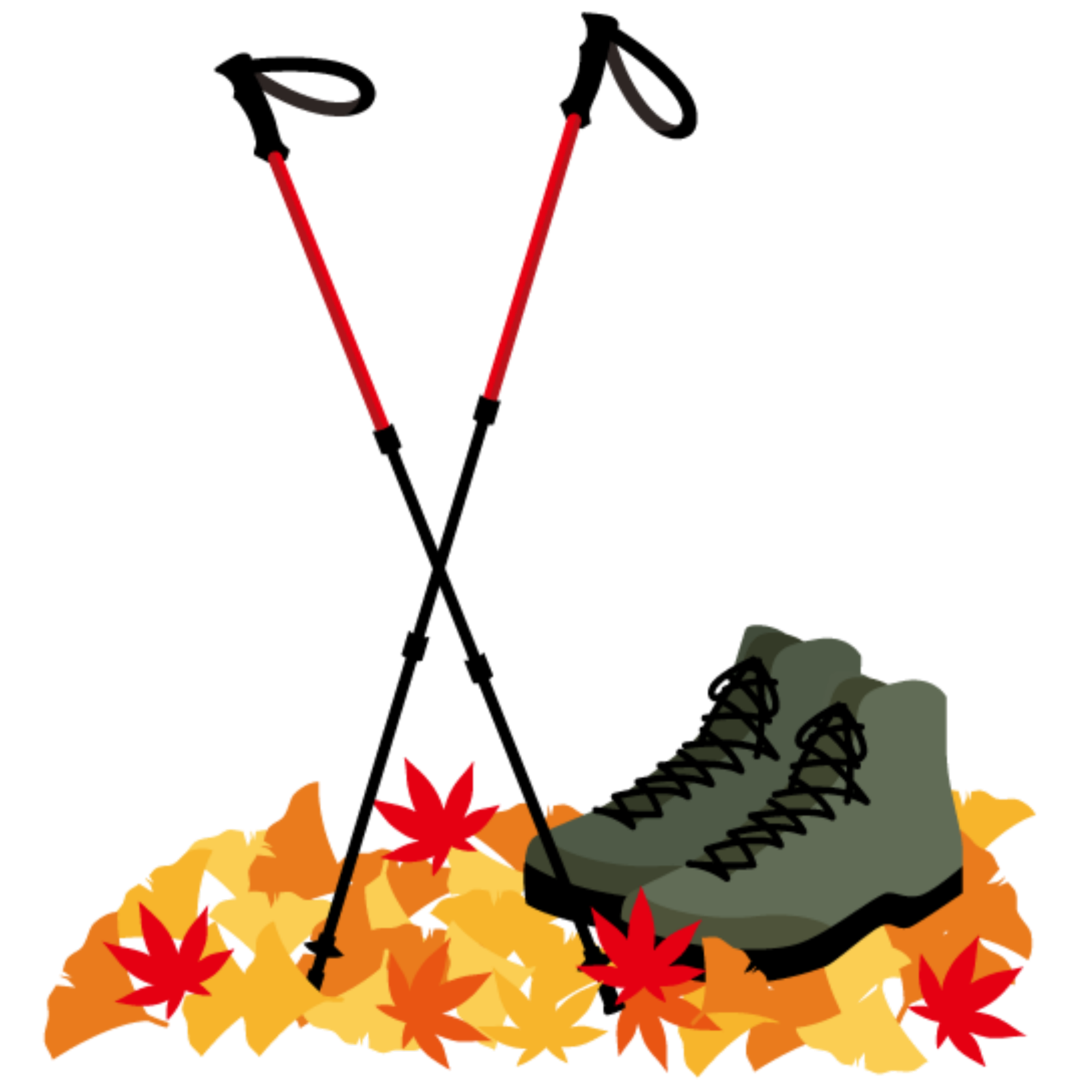 Wandern für Senioren