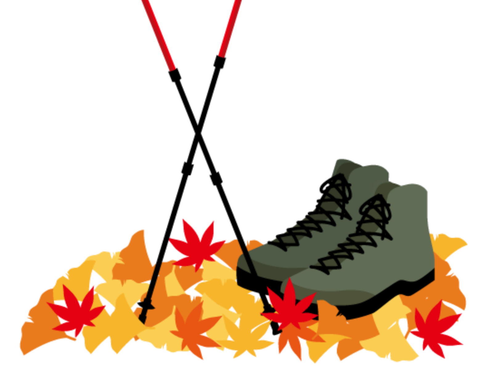 Wandern für Senioren