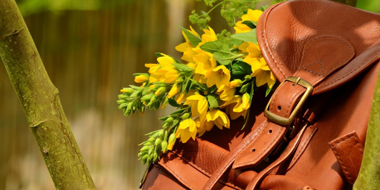 pixabay_backpack-1482612
